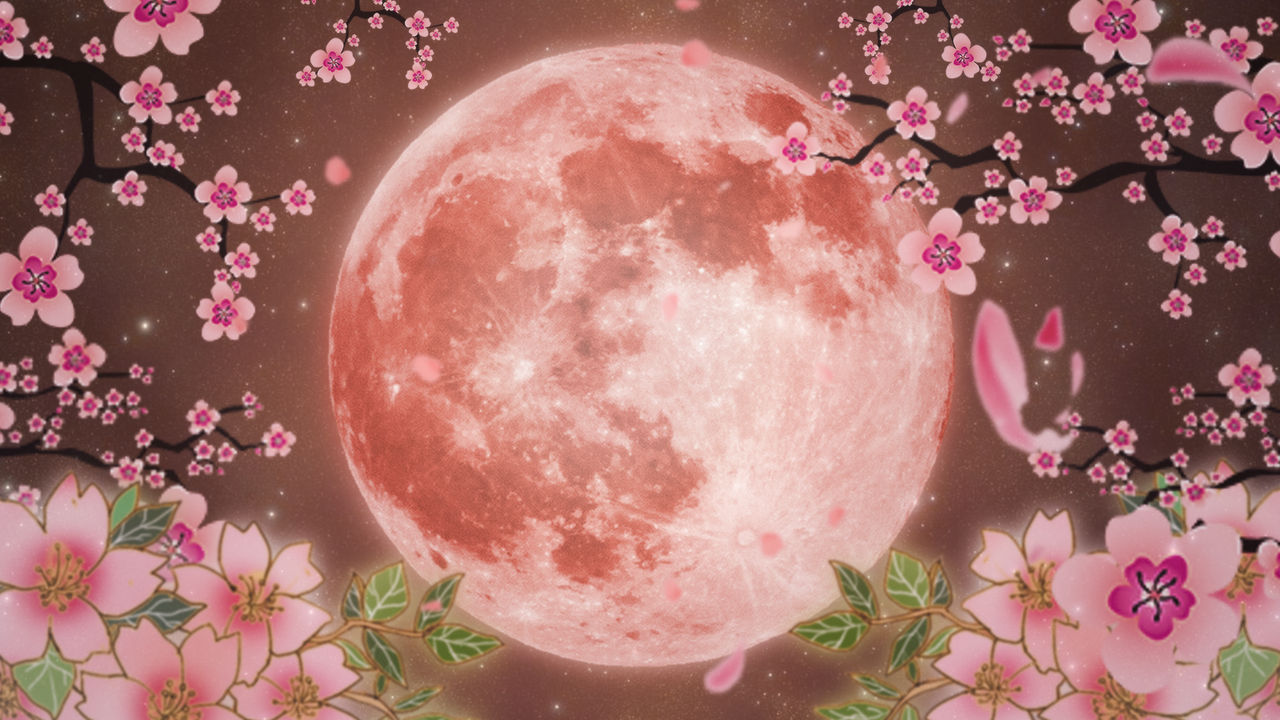 your-full-moon-in-scorpio-reading-full-circle-image