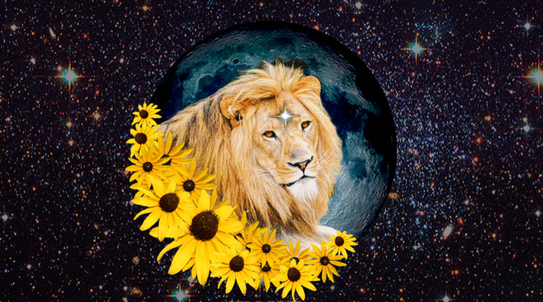 YOUR NEW MOON IN LEO READING