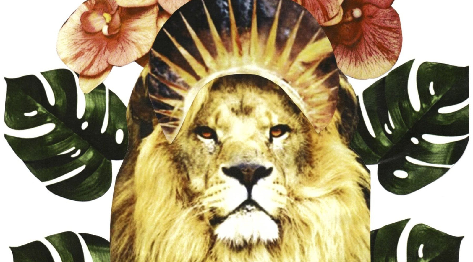 new-moon-in-leo-reading