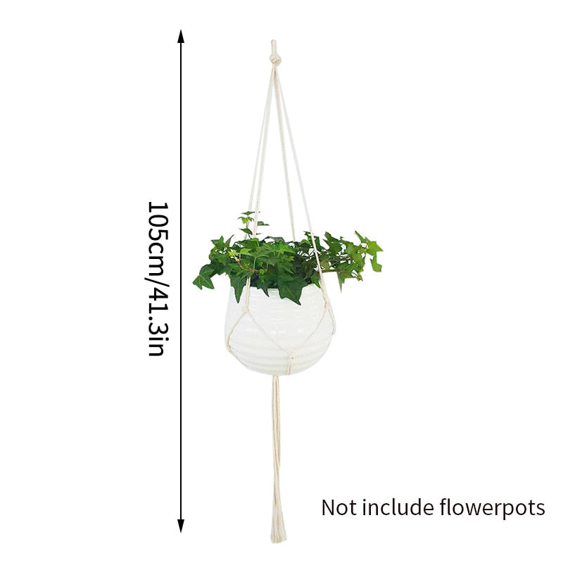 Full Circle Yoga School 0 Green Plant Hanging Flower Pot