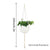 Full Circle Yoga School 0 Green Plant Hanging Flower Pot