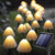 Full Circle Yoga School 0 LED Outdoor Solar Mushroom Lights