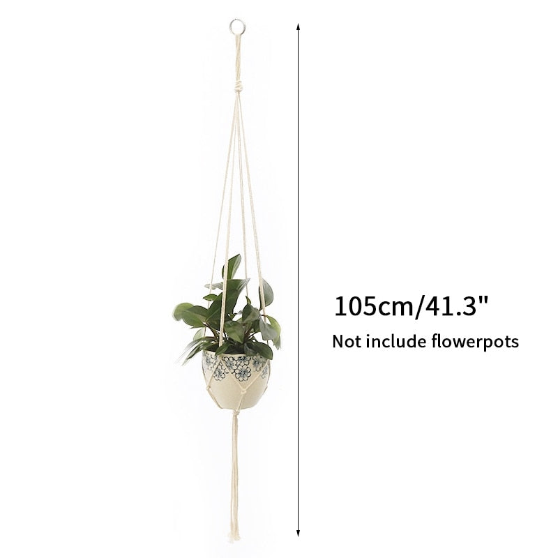 Full Circle Yoga School Gardening Green Plant Hanging Basket